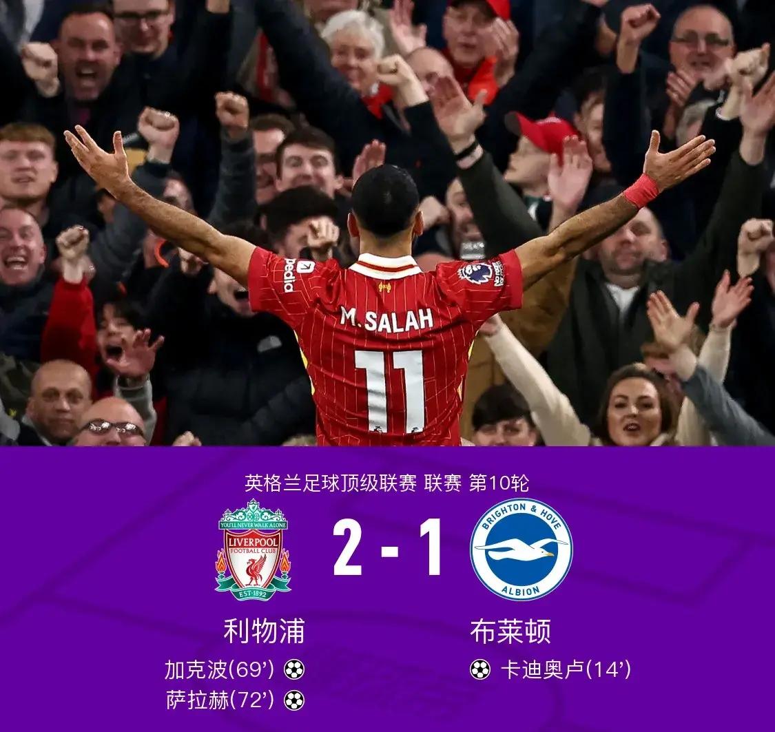 开云-利物浦主场告负，积分榜略显不足的简单介绍